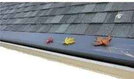 Metal gutter helmet with fall leaves on top