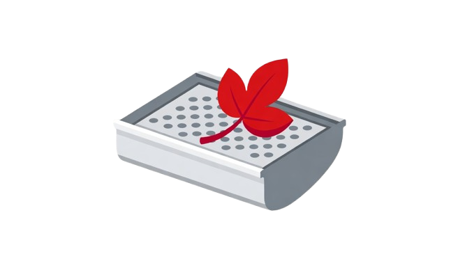 filter4 removebg preview